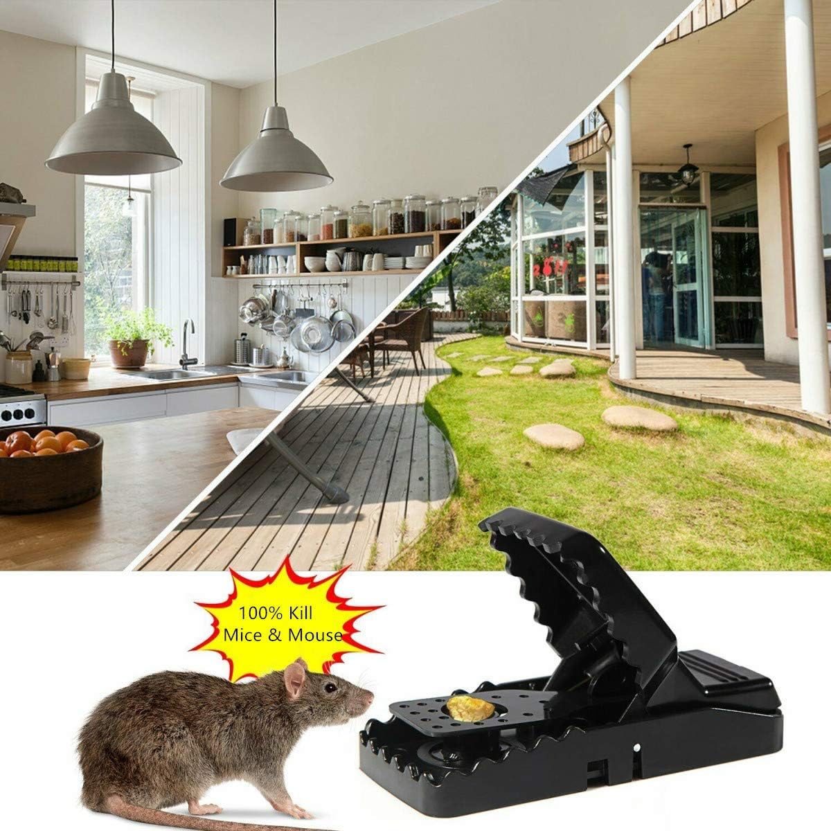 Heavy Duty Plastic Mouse Trap